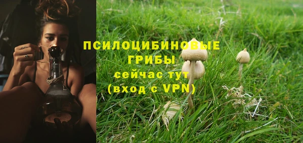 MDMA Premium VHQ Верея