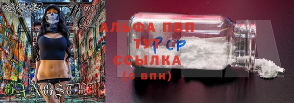 ALPHA PVP Строитель