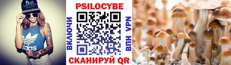 Псилоцибиновые грибы GOLDEN TEACHER  Медынь 